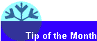 Tip of the Month